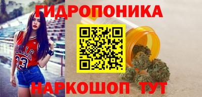 дживик Заводоуковск