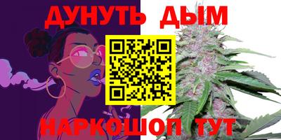 индика Жуковский