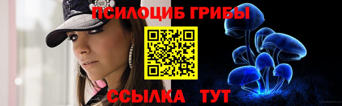 Псилоцибиновые грибы GOLDEN TEACHER Котлас