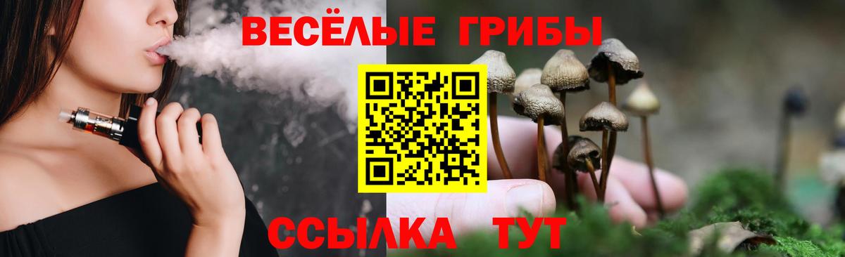 Псилоцибиновые грибы Magic Shrooms  Вход с VPN  Галлюциногенные грибы MAGIC MUSHROOMS  Котлас 